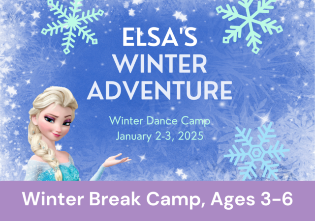 Elsa’s Winter Adventure